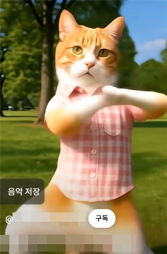 [유튜브 '야옹멍YaongMeong' 영상 캡처. 재판매 및 DB 금지]