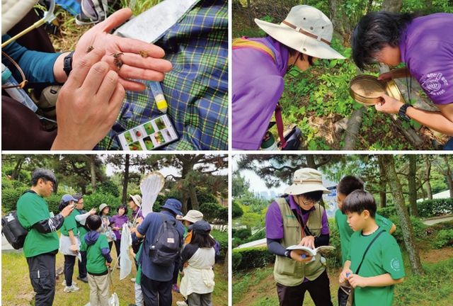 부산 생물다양성 탐사