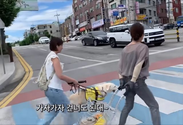 음식점 직접 안내하는 묵호 주민