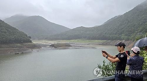 최악 가뭄 강릉에 단비…"더 와야 할 텐데"