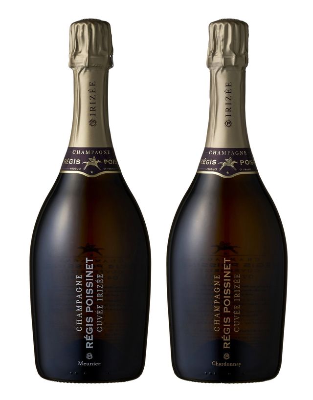 갤러리아백화점 레지스 포아시네 세트