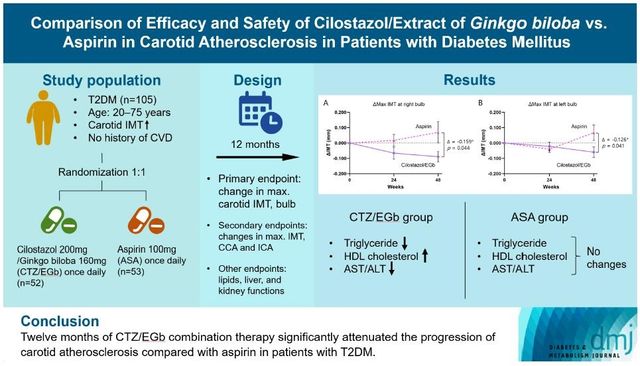 [DMJ 캡처·연합뉴스 자료 사진]