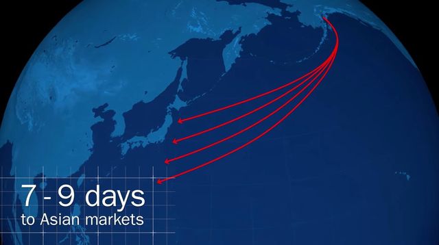 알래스카 LNG 프로젝트 추진 개념