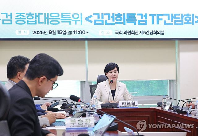 발언하는 전현희 3대특검 특위 총괄위원장