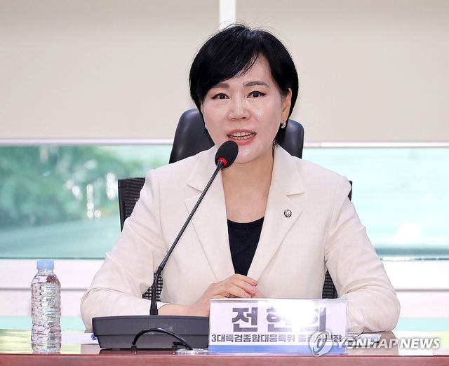 발언하는 전현희 3대특검 특위 총괄위원장