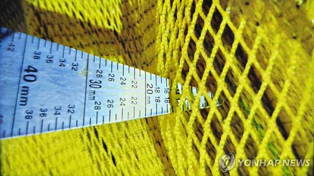 '모기장 그물'로 불법 조업한 어선