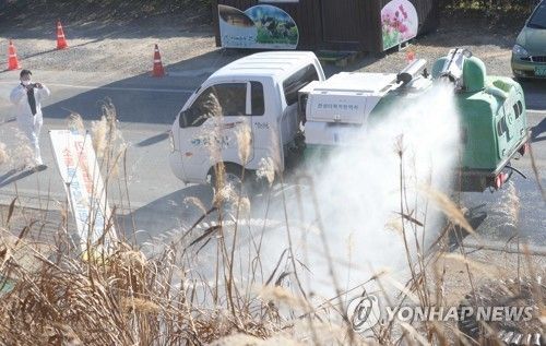 철새도래지 조류 인플류엔자 방역