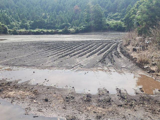 물에 잠긴 농경지