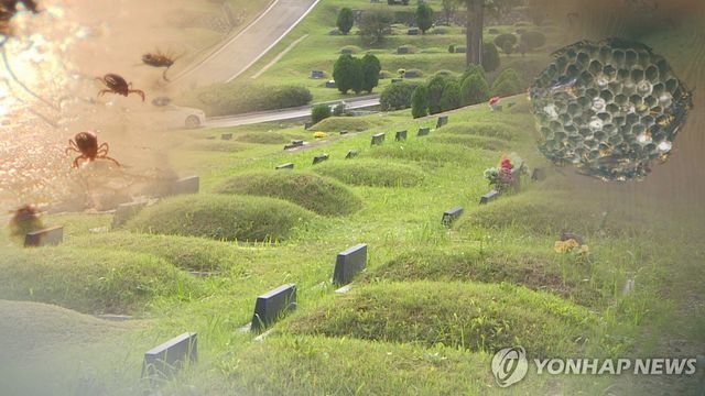 추석 성묫길, 진드기·벌 주의해야…"긴팔 입으세요"(CG)