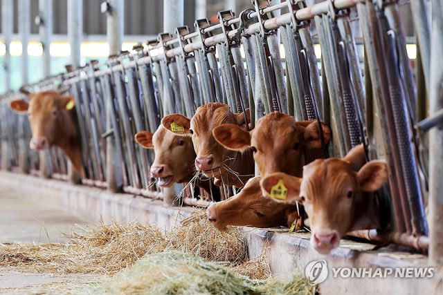 농협사료, 오늘부터 사료가격 인하…"국제곡물 내림세 반영" - 1