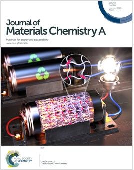 전해질 재활용 기술, 국제학술지 표지논문 게재