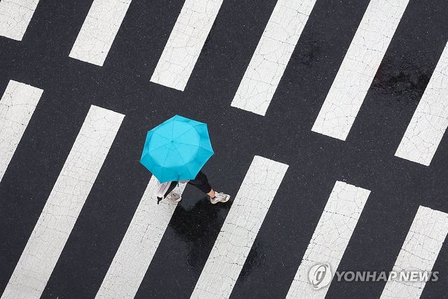 횡단보도 위 우산