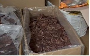 피의자 A 불법 제조 작업장 관련 사진