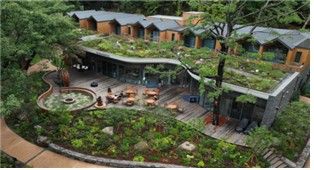 대한민국 국토대전서 국무총리상 받은 '서울시 최초 도심형 자연휴양림 수락 휴' 