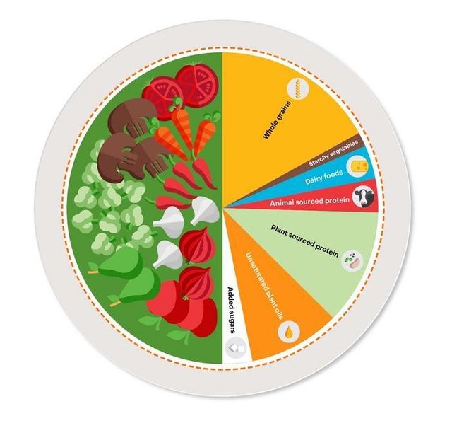 "지속 가능한 식물성 식단은 인간과 지구 건강 모두에 이롭다"