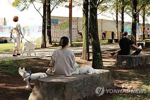 나무 밑 그늘에서 휴식을 취하는 사람들