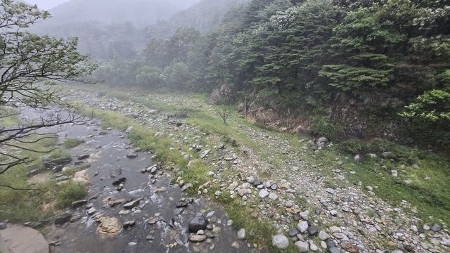 오봉저수지로 들어오는 왕산천 물줄기