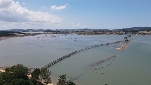 무안 갯벌에 개통된 탐방다리