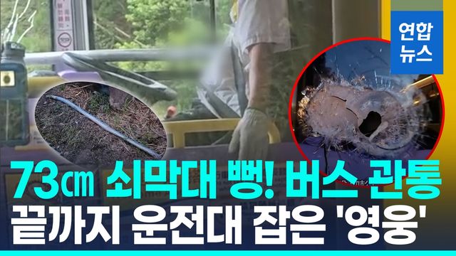 [영상] 버스 유리 뚫고 퍽!…73cm 쇠막대 맞고도 승객 지켜낸 '영웅' - 2