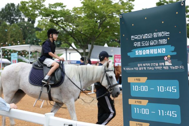 도심 승마축제
