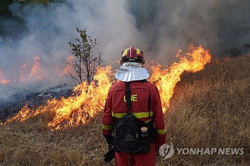 지난달 발생한 스페인 산불