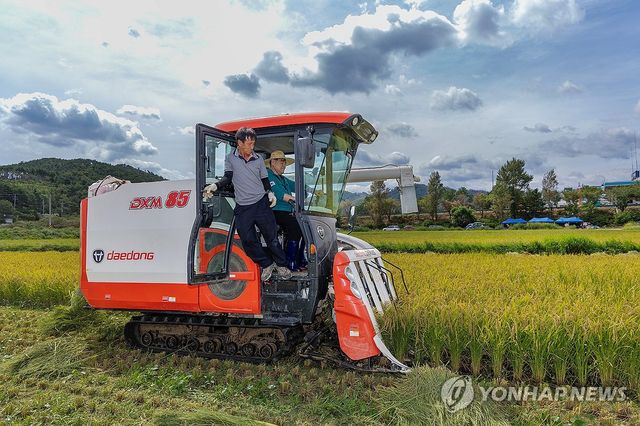 동해시, 첫 벼 베기 실시