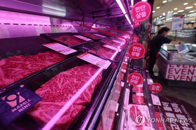 [연합뉴스 자료사진]