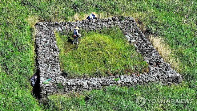 추석 벌초 시작된 제주