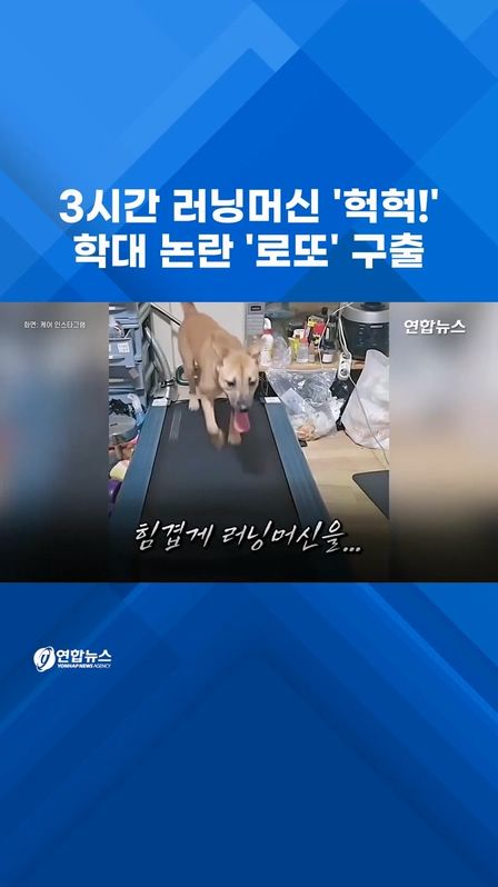 [쇼츠] '헉헉' 3시간 러닝머신…학대 논란 '로또' 구출 - 2