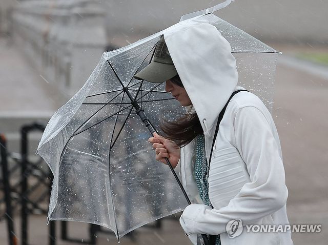우산 꽉 붙잡고