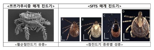 [질병관리청 제공. 재판매 및 DB 금지]