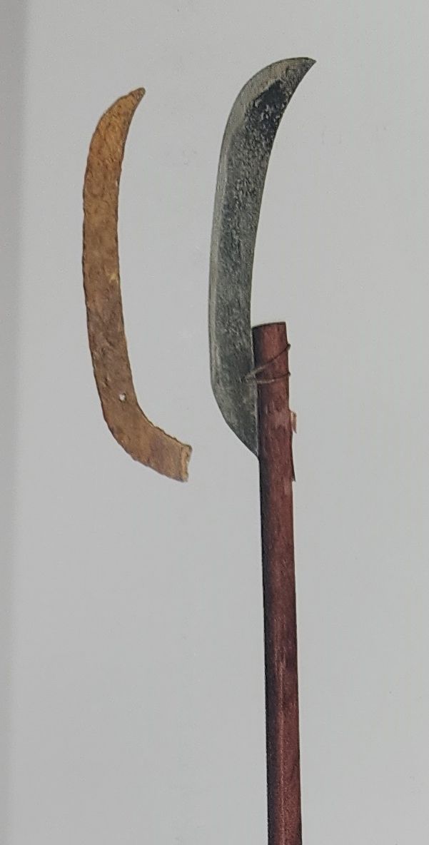 대성동고분군에서 출토된 김해 가야 곡도