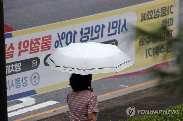 최악 가뭄 강릉에 내리는 비