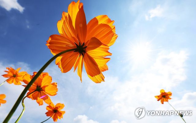 천천히 다가오는 가을