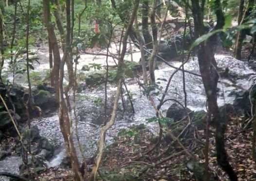 불어난 한라산 둘리길 계곡물