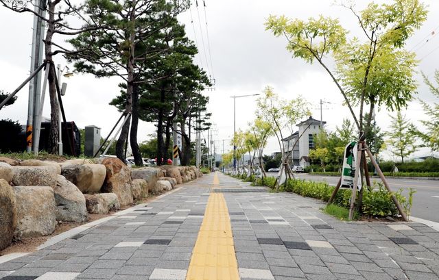 확장된 하동군청 앞 인도