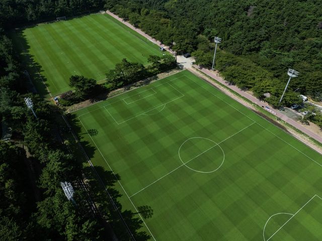 파릇파릇한 울산 HD 강동구장의 난지형 잔디 그라운드