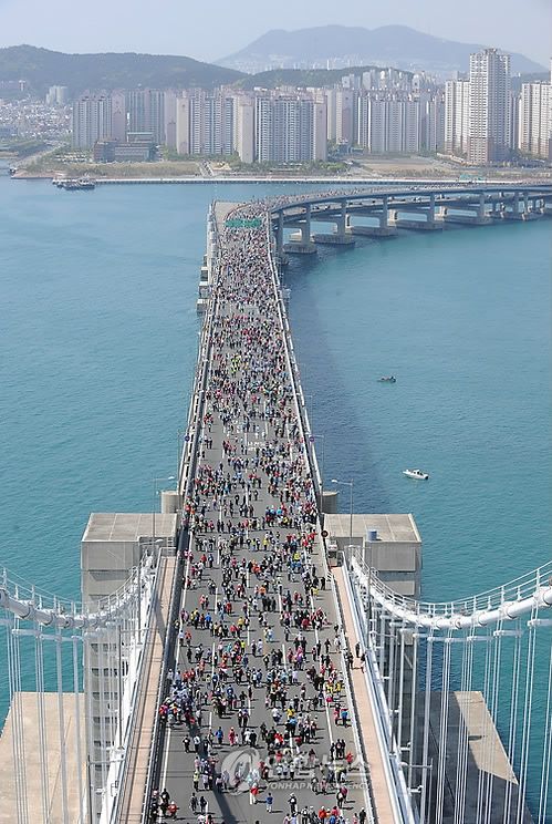 광안대교 걷기대회