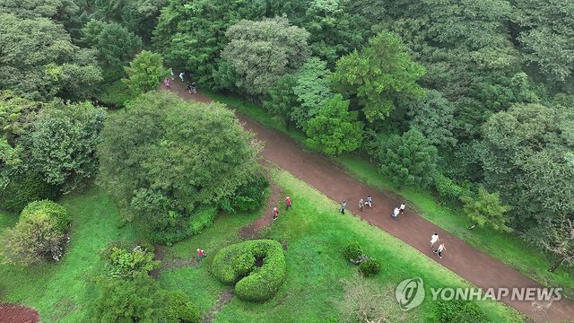 신비의 숲 비자림 탐방