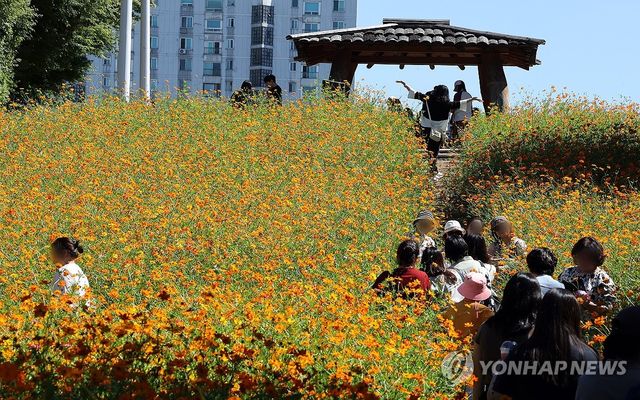 '성큼 다가온 가을'… 올림픽공원 들꽃마루