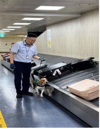 탐지견 수하물 검역