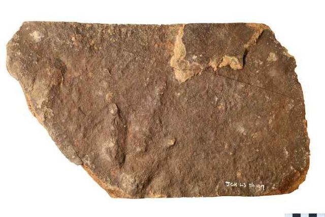 익룡 발자국 화석