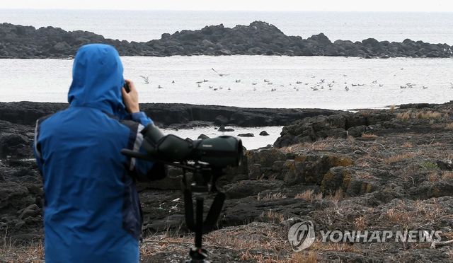 제주 제2공항 철새 실태 조사