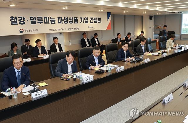 철강·알루미늄 파생상품 기업 만난 김정관 산업부 장관