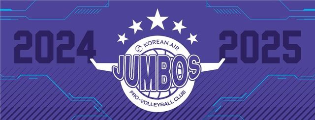 대한항공의 기존 엠블럼