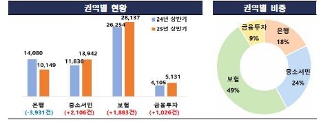 [금융감독원 제공]