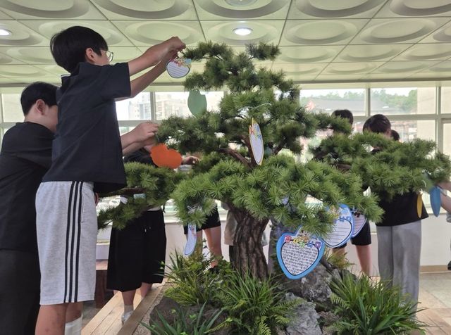 소방서 건물 내 나무에 편지 다는 초등학생들