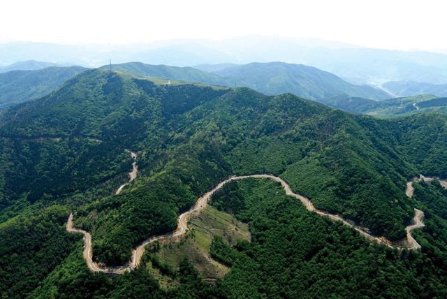 강원 정선 가리왕산 임도 