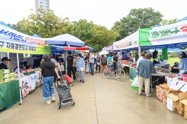 양천구 지난해 추석맞이 직거래장터