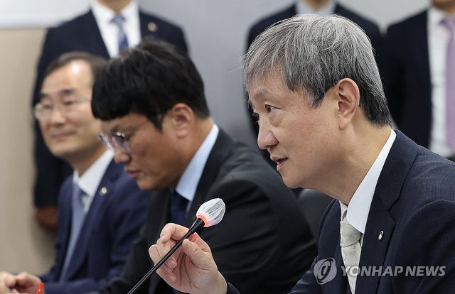 발언하는 금융감독원장